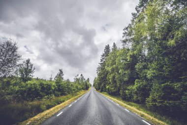 Asfalt yol ile bulutlu havalarda nordic bir ormandaki tarafta beyaz şeritler