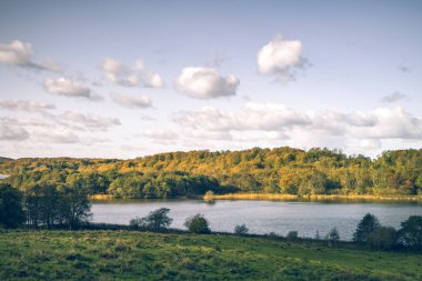 Hint yaz aylarında Riverside'da altın ağaçları ile kırsal manzara nehir