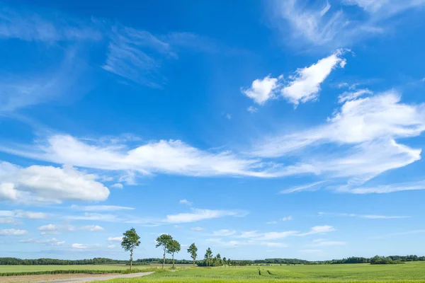 夏天的风景与蓝天上的白云在翠绿的田野上 — 图库照片