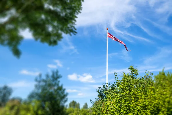 Dänischer Wimpel Einem Weißen Fahnenmast Einem Grünen Garten Sommer — Stockfoto