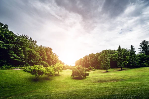 Пейзаж Закатом Над Парком Зелеными Деревьями Голубым Небом Летом — стоковое фото