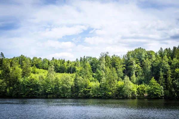 夏日里绿树成荫的湖景与蓝天 — 图库照片