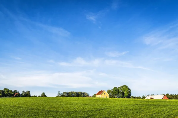 Mavi Gökyüzü Yeşil Çim Ile Yaz Kırsal Yeşil Alan Sarı — Stok fotoğraf
