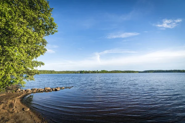 Playa Junto Gran Lago Forestal Verano Con Agua Azul Oscuro — Foto de Stock