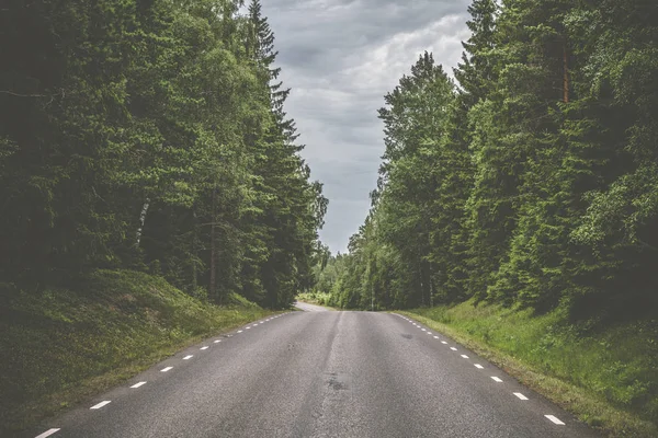 Estrada Com Listras Brancas Feitas Asfalto Uma Floresta Pinheiros Assustadora — Fotografia de Stock