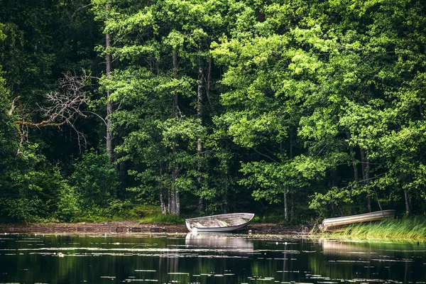 Fából Készült Csónak Parton Közelében Zöld Erdő — Stock Fotó