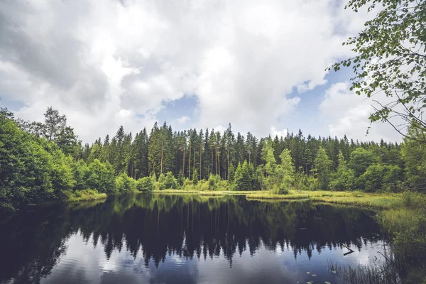 Calma Lago Wirh Agua Oscura Medio Bosque Con Pinos Que — Foto de Stock