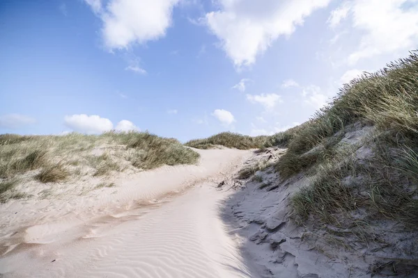 Trail Egy Skandináv Strand Lyme Nyári Kék Fehér Felhők Alatt — Stock Fotó