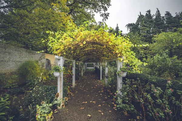 Garden corridor in the fall with autumn leaves on the ground in a beautiful garden