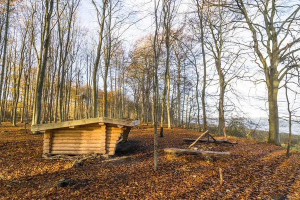 Shelter in the outdoors in a forest with tall trees in the autumn