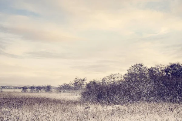 Idyllische Winterlandschaft Mit Frostigen Bäumen Der Wildnis Morgensonnenaufgang — Stockfoto