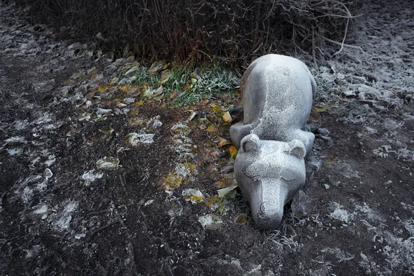 Hemlösa Björnen Sover Den Kalla Frosten Vintern Ensam Den Frusna — Stockfoto