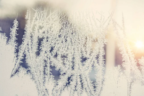 Sunrise Frosty Window Beautiful Frost Patterns Morning — Stock Photo, Image