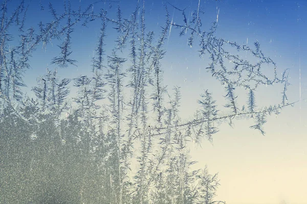 Frost Bites Window Cold Winter Morning Blue Color — Stock Photo, Image