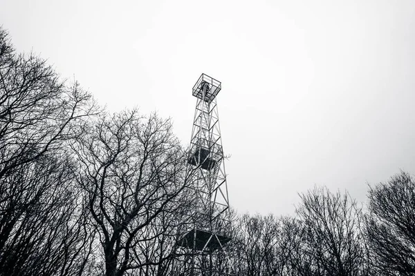 Faro Colores Monocromáticos Bosque Invierno Con Siluetas Árboles Blanco Negro — Foto de Stock