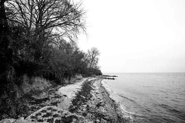 Foto Blanco Negro Una Costa Otoño Con Olas Entrando Playa — Foto de Stock