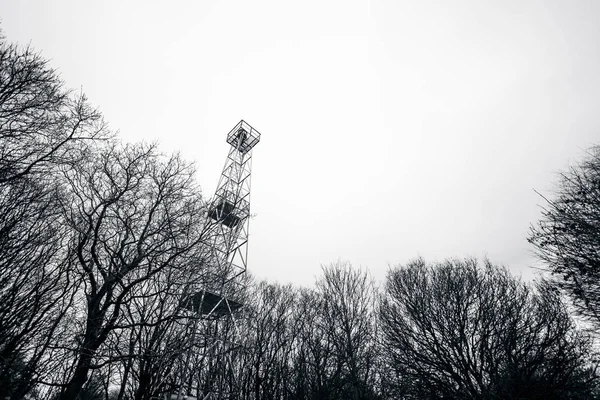 Небольшая Башня Маяка Лесу Силуэтами Деревьев Черно Белом Цвете — стоковое фото