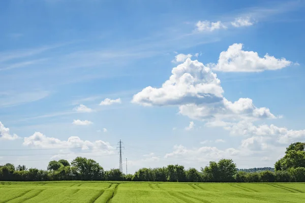 Groene Velden Een Landschap Van Het Platteland Met Bomen Pylonen — Stockfoto