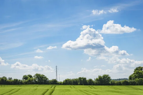 Campos Verdes Uma Paisagem Rural Com Árvores Pilões Nuvens Brancas — Fotografia de Stock