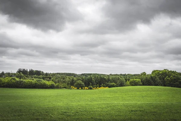 Bir Yağmurlu Günde Ülkenin Kırsal Bir Yeşil Alan Üzerinde Bulutlu — Stok fotoğraf