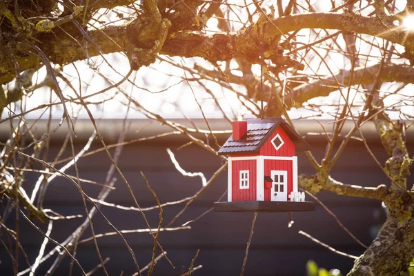 Rode Birdhouse Schuur Opknoping Een Boom Winter — Stockfoto