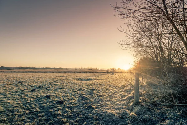 冬天的乡村日出 乡间一片冰冻的草地 — 图库照片