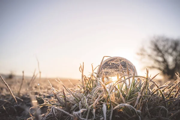Стеклянный Шар Загорается Восходе Солнца Замерзшей Траве Зимой — стоковое фото
