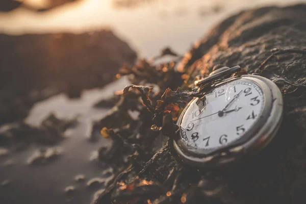 夏の日の出の海沿いの岩の上の古い時計が海藻で覆われて — ストック写真