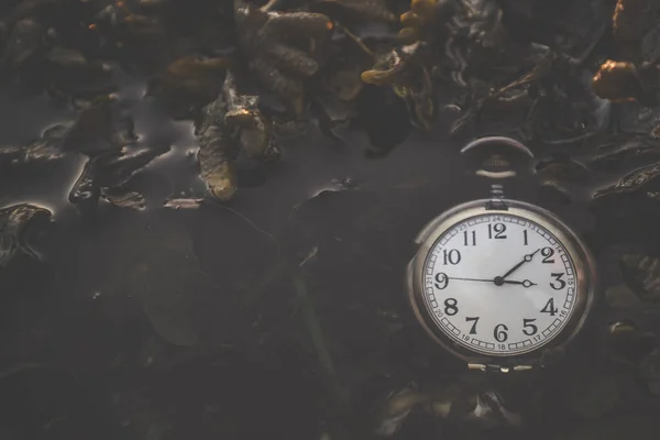 懐中時計の初秋に海藻と暗い湖に浮かぶ — ストック写真