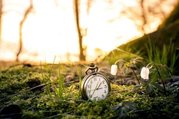 Reloj Bolsillo Antiguo Enterrado Musgo Amanecer Sobre Bosque Con Flores — Foto de Stock