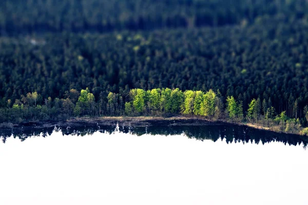 Grüne Bäume Seeufer Mit Dunklen Spiegelungen Wasser Von Oben Gesehen — Stockfoto