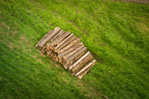 Holzstapel Mit Baumstämmen Auf Einer Grünen Wiese Ländlicher Umgebung Sommer — Stockfoto
