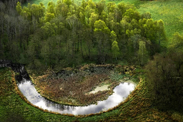 Glückliche Natur Mit Einem Lächelnden See Der Nähe Eines Grünen — Stockfoto