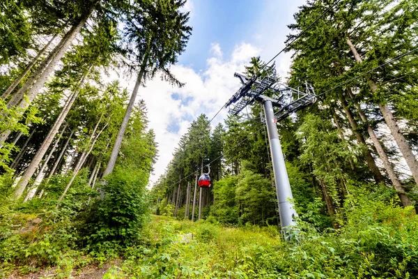 Skidlift Sommar Grön Skog Kommer Till Toppen Ett Berg — Stockfoto