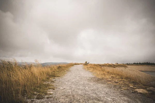 Chemin Terre Avec Herbe Dorée Des Deux Côtés Sous Ciel — Photo