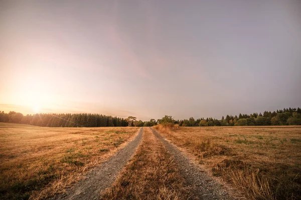 Estrada Terra Pôr Sol Que Vai Uma Floresta Uma Noite — Fotografia de Stock