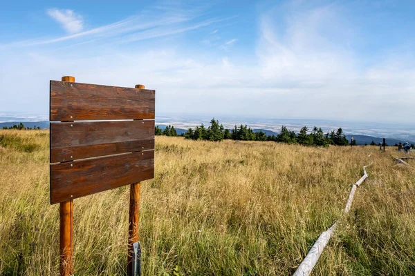 Ahşap Multi Oturum Altın Çim Bir Tepenin Üstüne Yaz — Stok fotoğraf