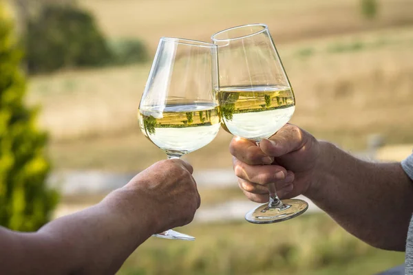 Cheers Met Witte Wijn Een Tuin Met Wijnglazen Als Gevolg — Stockfoto