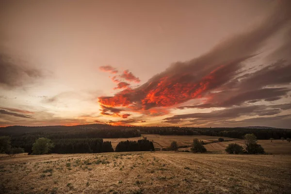 Amazing Zonsondergang Droge Vlakten Met Pijnbomen Late Namiddag — Stockfoto