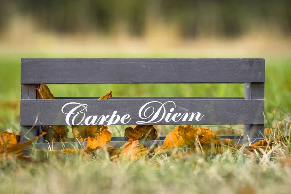 Caja Madera Con Frase Carpe Diem Otoño —  Fotos de Stock