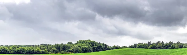 有雨的乌云密布的森林附近有绿色田野的乡村全景景观 — 图库照片