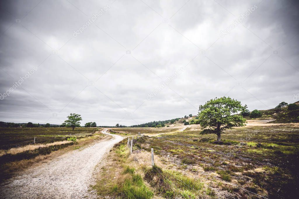 Road going through an area with dry plains in cloudy weather