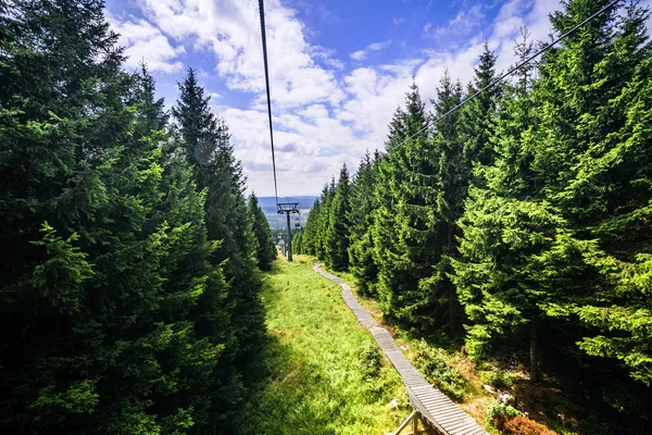 Mountain Hiss Sommaren Med Pinjeträd Uppför Backen Blå Himmel — Stockfoto