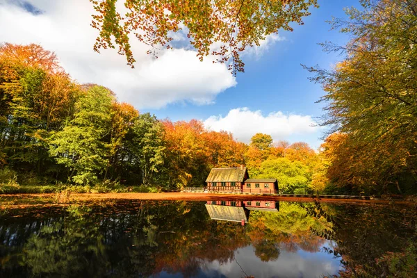 Pequeña Casa Roja Junto Lago Forestal Otoño Con Hermosos Colores —  Fotos de Stock