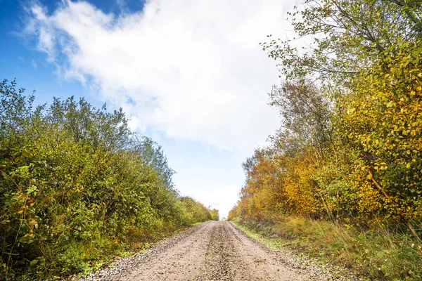 Herbstfarben Bäumen Straßenrand Eines Feldweges Herbst Unter Blauem Himmel Mit — Stockfoto