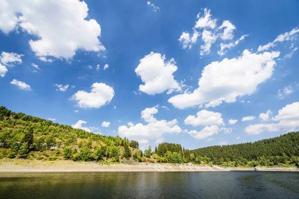 Grüne Bäume rund um einen See im Sommer — Stockfoto