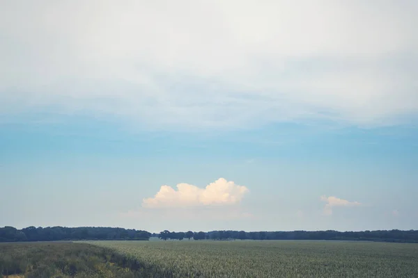 Paisagem fosca com campos rurais — Fotografia de Stock