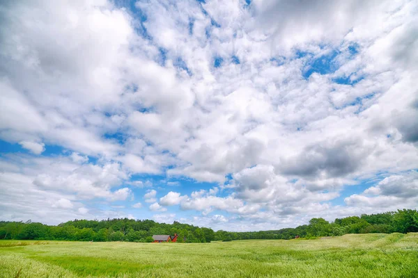 Landelijk landschap met een kleine boerderij — Stockfoto