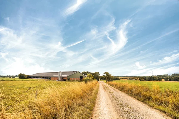 Ferme près d'une route dans une campagne rurale — Photo