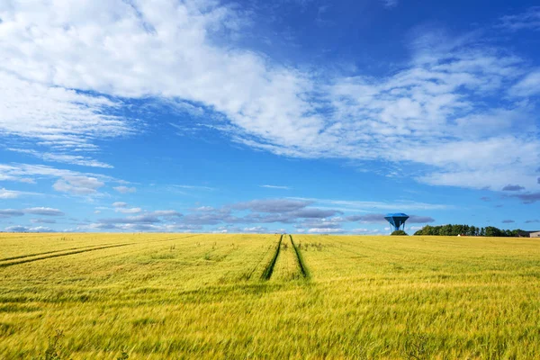 Landelijk Landschap Met Een Goudkleurig Tarweveld Onder Een Blauwe Lucht — Stockfoto